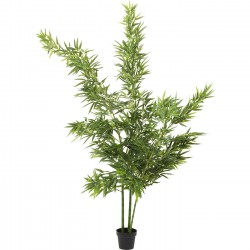 Planta decorativa Bamboo Tree 200cm