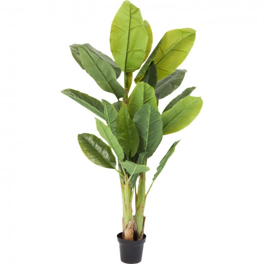 Planta decorativa Banana Tree 180cm-64003 (4)