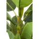 64003.JPG - Planta decorativa Banana Tree 180cm