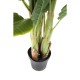 Planta decorativa Banana Tree 180cm-64003 (3)