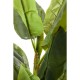 Planta decorativa Banana Tree 180cm-64003 (4)