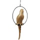 Peça Decorativa Swinging Parrot dourada-51141 (6)