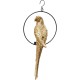 Peça Decorativa Swinging Parrot dourada-51141 (7)
