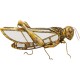 Decoração de Parede Grasshopper-51222 (6)