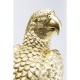 51066.JPG - Caixa decorativa Parrot
