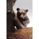 Peça Decorativa Reading Bears-67418 (4)