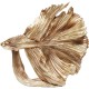 Peça Decorativa Betta Fish Gold Small-68023 (6)