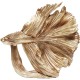 Peça Decorativa Betta Fish Gold Small-68023 (6)