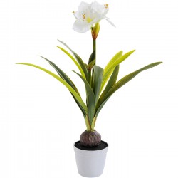 Planta decorativa Amaryllis Branco 78cm