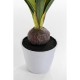 Planta decorativa Amaryllis Branco 78cm-51681 (3)