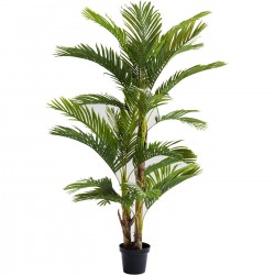 Planta decorativa Palm Tree 190cm