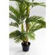 Planta decorativa Palm Tree 190cm-51789 (3)
