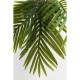Planta decorativa Palm Tree 190cm-51789 (5)