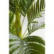 Planta decorativa Palm Tree 190cm-51789 (6)