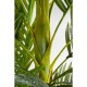 Planta decorativa Palm Tree 190cm-51789 (7)