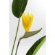 Planta decorativa Paradise Flowers 190cm