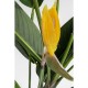 Planta decorativa Paradise Flowers 190cm