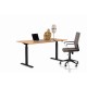 Desk Office Smart Black Beech 160x80