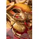 Decoração de Parede Atlas Beetle Gold-60489 (6)