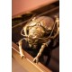 Decoração de Parede Longicorn Beetle Gold-60490 (4)