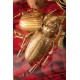 Decoração de Parede Longicorn Beetle Gold-60490 (5)