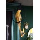 Peça Decorativa Swinging Parrot dourada-51141 (8)