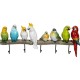 Cabide Exotic Birds-84794 (2)