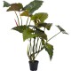 Planta Decorativa Taro 180cm