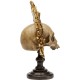 Objeto Decorativo King Skull-51926 (8)
