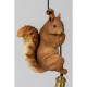 52296.JPG - Candeeiro de Teto Squirrel