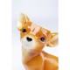 51936.JPG - Jarro Dog