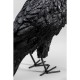 Lampe à poser Animal Crow noir mat
