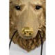 Candeeiro de Parede Wolf Head