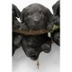 Cabides Three Mini Dogs
