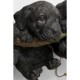 Cabides Three Mini Dogs