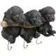 Cabides Three Mini Dogs