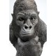 Peça decorativa Thinking Gorilla Head