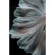 Quadro de vidro Colorful Swarm Fish 120x120cm-53082 (4)