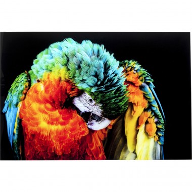 Quadro de vidro Tropical Parrot 120x80cm