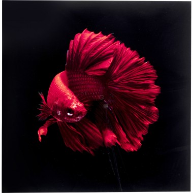 Quadro de vidro Fire Fish 100x100cm