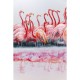 Quadro Dating Flamingos 100x120cm