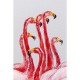 Quadro Dating Flamingos 100x120cm