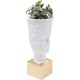Vaso de plantas Jeffrey 80cm