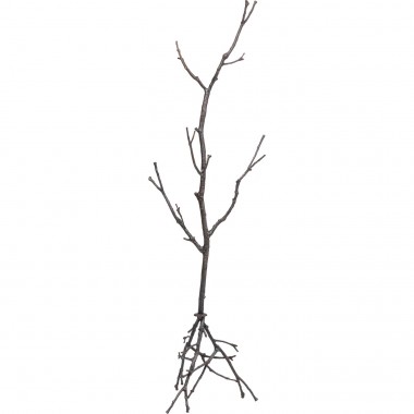 Portemanteau Tree Branch 183