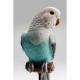 Figurine déco Parrot turquoise 36cm