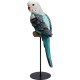 Figurine déco Parrot turquoise 36cm