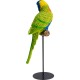 Figurine déco Parrot vert 36cm