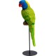 Figurine déco Parrot vert 36cm